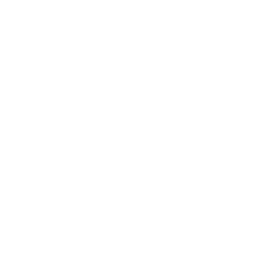 Cruise Customs Logo
